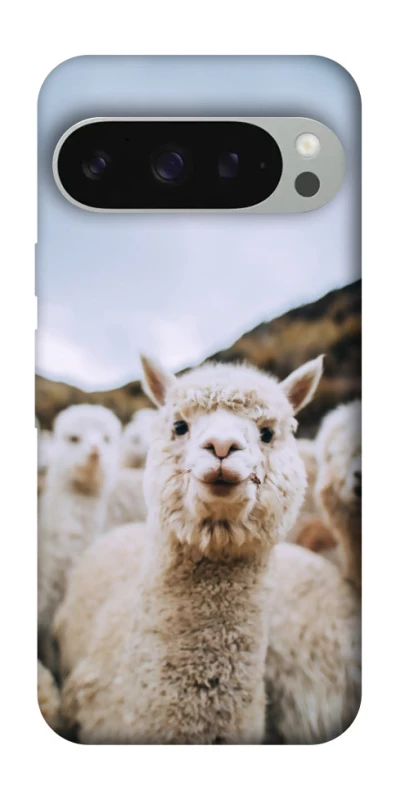 Чехол на Google Pixel 10 Pro XL Лама фото 1 из 1