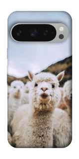 Чехол на Google Pixel 10 Pro XL Лама фото 1 из 1