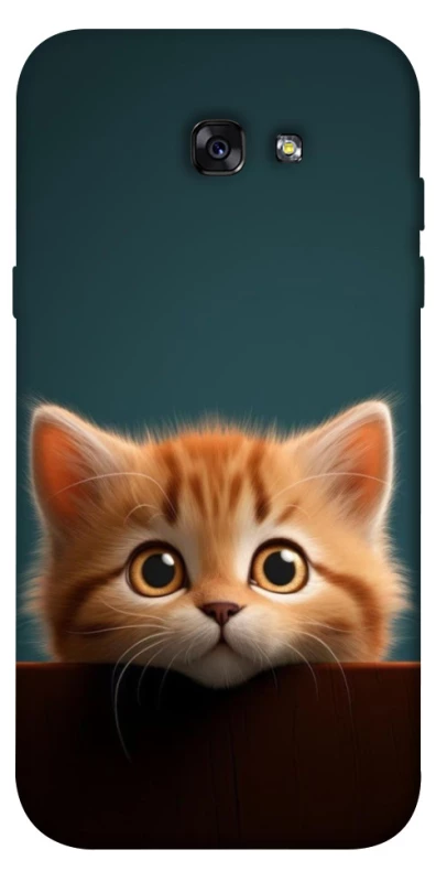 Чохол на Samsung A720 Galaxy A7 (2017) Чохол Кошеня фото 1 з 1