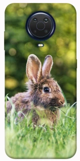 Чохол на Nokia G20 / G10 / 6.3 Кролики фото 1 з 1