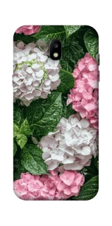 Чехол на Samsung Galaxy J5 (2017) Secret Garden фото 1 из 1