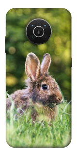 Чехол на Nokia X10 / X20 Кролики фото 1 из 1