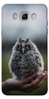 Чехол на Samsung J510F Galaxy J5 (2016) Совёнок фото 1 из 1