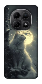 Чохол на Xiaomi Redmi Note 15 5G Кіт під місяцем фото 1 з 1