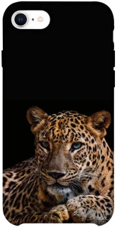Чохол на Apple iPhone SE (2020) Leopard v4 фото 1 з 1