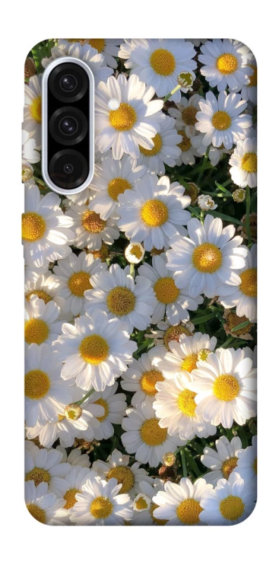 Чохол на Samsung Galaxy A36 5G Поле ромашок фото 1 з 1