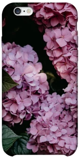 Чохол на Apple iPhone 6/6s (4.7") Рожеві гартензії фото 1 з 1