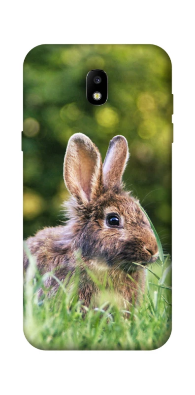 Чехол на Samsung Galaxy J5 (2017) Кролики фото 1 из 1