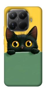 Чохол на Xiaomi 15T Pro Black cat v2 фото 1 з 1