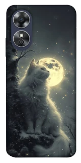 Чехол на Oppo A17 Кот под луной фото 1 из 1