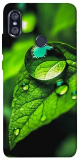 Чохол на Xiaomi Redmi Note 5 Pro / Note 5 (AI Dual Camera) Flowers v16 фото 1 з 1