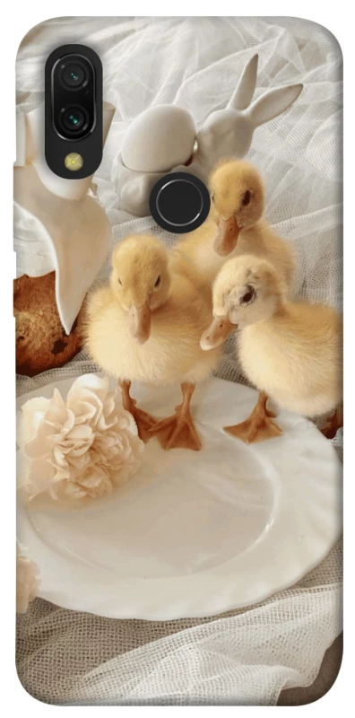 Чехол на Xiaomi Redmi 7 Easter Vibes фото 1 из 1