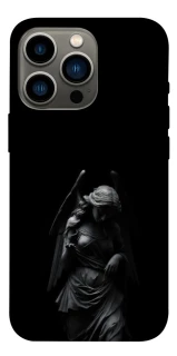 Чехол на Apple iPhone 13 Pro (6.1") Angel фото 1 из 1