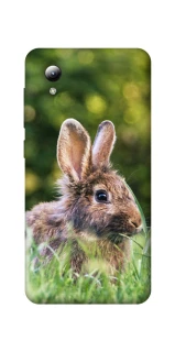 Чехол на ZTE Blade A3 (2019) Кролики фото 1 из 1