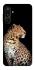 Чохол на Samsung Galaxy M16 5G Leopard v2 фото 1 з 1