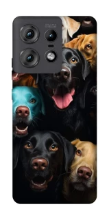 Чехол на Motorola Edge 50 Pro Собаки фото 1 из 1