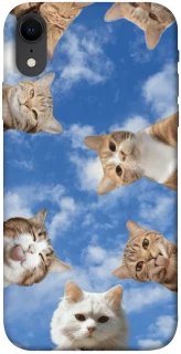 Чохол на Apple iPhone XR (6.1") Сats фото 1 з 1