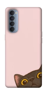 Чехол на Oppo Reno 4 Pro Peeping cat фото 1 из 1