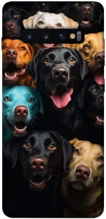 Чохол на Samsung Galaxy S10+ Собаки фото 1 з 1