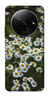 Чохол на Xiaomi Redmi A3 Ромашки v13 фото 1 з 1