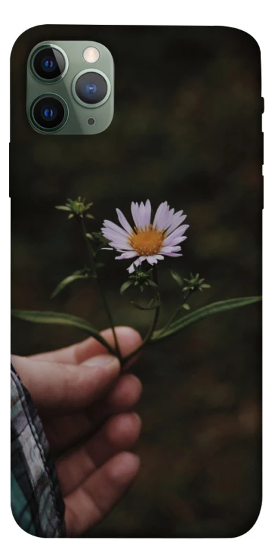 Чехол на Apple iPhone 11 Pro Max (6.5") Ромашка v4 фото 1 из 1