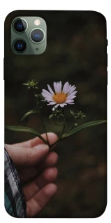 Чехол на Apple iPhone 11 Pro Max (6.5") Ромашка v4 фото 1 из 1