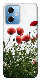 Чехол на Xiaomi Redmi Note 12 5G Поле маков фото 1 из 1