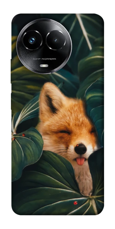 Чехол на Realme C67 4G Fox фото 1 из 1