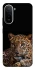 Чехол на Xiaomi Redmi A7 Pro 4G Leopard v4 фото 2 из 2