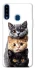 Чохол на Samsung Galaxy A20s Гарні котики фото 1 з 1