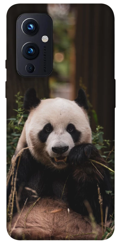 Чехол на OnePlus 9 Панда фото 1 из 1