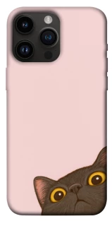 Чохол на Apple iPhone 14 Pro Max (6.7") Peeping cat фото 1 з 1