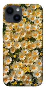 Чехол на Apple iPhone 14 (6.1") Camomile фото 1 из 1