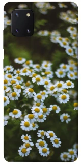 Чехол на Samsung Galaxy Note 10 Lite (A81) Ромашки v13 фото 1 из 1