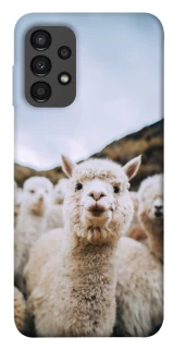 Чохол на Samsung Galaxy A13 4G Лама фото 1 з 1