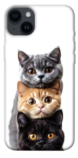 Чохол на Apple iPhone 14 Plus (6.7") Гарні котики фото 1 з 1