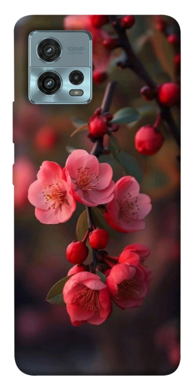 Чохол на Motorola Moto G72 Flowers v28 фото 1 з 1