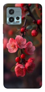 Чехол на Motorola Moto G72 Flowers v28 фото 1 из 1