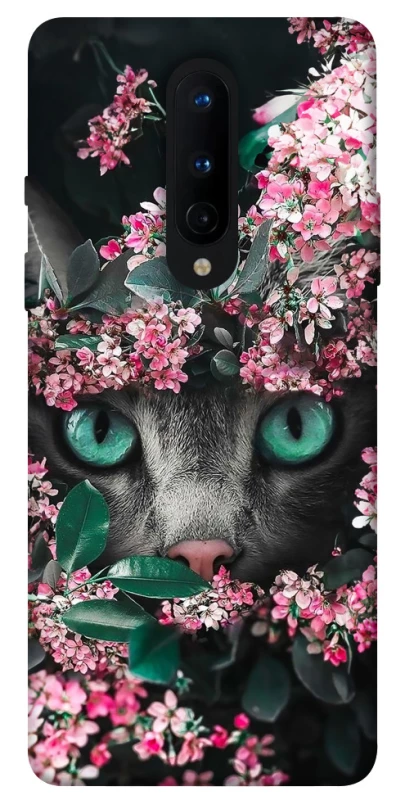 Чохол на OnePlus 8 Кіт в квітах фото 1 з 1