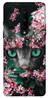 Чохол на OnePlus 8 Кіт в квітах фото 1 з 1