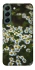 Чехол на Samsung Galaxy S22 Ромашки v13 фото 1 из 1