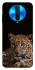 Чохол на Xiaomi Redmi K30 Leopard v4 фото 1 з 1