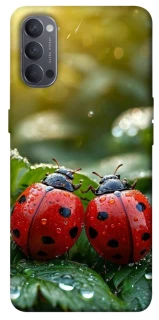 Чохол на Oppo Reno 4 Flowers v23 фото 1 з 1