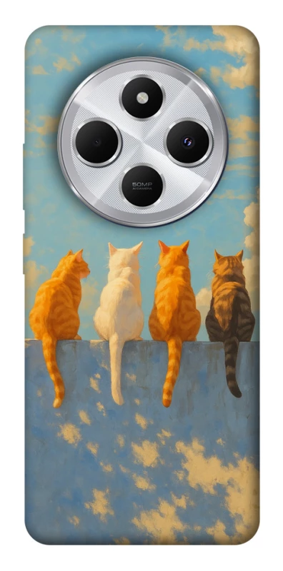 Чехол на Xiaomi Redmi 14C / Poco C75 cats on wall фото 1 из 1