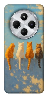 Чехол на Xiaomi Redmi 14C / Poco C75 cats on wall фото 1 из 1