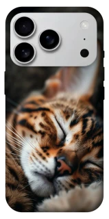 Чехол на Apple iPhone 17 Pro Max (6.9") Cat paws фото 1 из 1