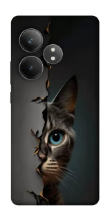 Чохол на Realme GT Neo 6 Кіт-підглядач v2 фото 1 з 1