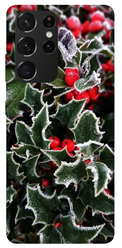 Чохол на Samsung Galaxy S21 Ultra Новорічний v32 фото 1 з 1