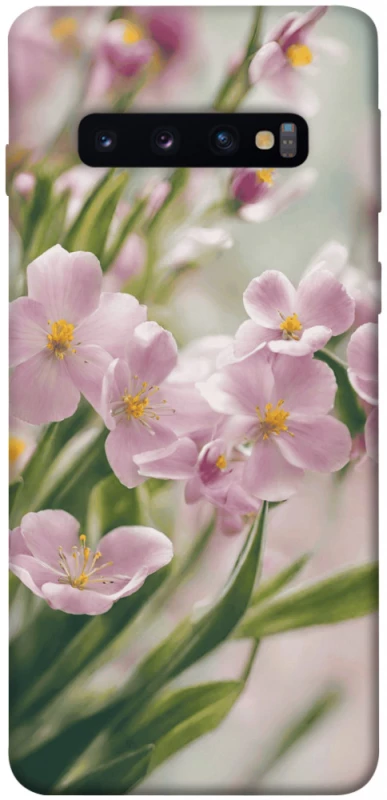 Чохол на Samsung Galaxy S10 Spring фото 1 з 1