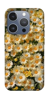 Чохол на Apple iPhone 16 Pro Camomile фото 1 з 1